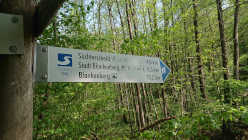 Siegsteig